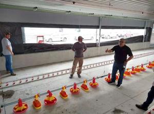 Nuevo Diseño de Sistema Automático de Bebederos para Aves de Corral en Granjas Avícolas - Product Image 3