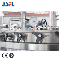 Machine de lavage, remplissage et scellage de canettes en aluminium pour jus pétillant ACE-FILLING 355ml 375ml avec système de nettoyage CIP
