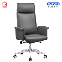 Chaise de bureau ergonomique professionnelle avec soutien lombaire et fonction pivotante