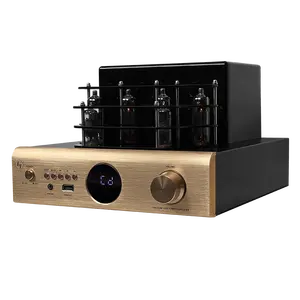 New Design DSP Tube Audio Power Amplifier Professional 100w*2 For Home Use Karaoke