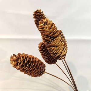 Venta al por mayor a granel Real Touch Natural seco decoración de Navidad flores y plantas cono de pino seco - Product Image 4