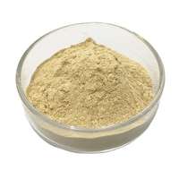 Poudre de feuilles d'Amla de qualité supérieure, dérivée de la plante Emblica Officinalis, matière première végétale botanique, approvisionnement en vrac, première qualité, en bouteille