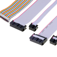 Kabel Custom Wire Harness Fleksibel IDC Kabel Datar 2 3 4 5 6 7 8 9 10 12 13 14 15 16 18 20 24 30 40pin Kabel Pita