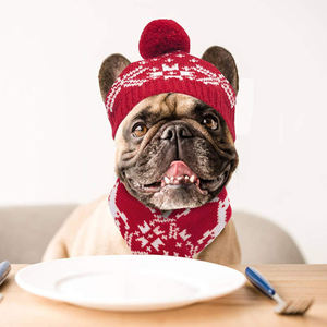 Hot Sale Hund Katze Weihnachts mütze Schal Set Kostüm Geschenk Winter Warme Mode Haustier Hund Zubehör - Product Image 4