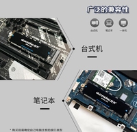 SSD 512GB, Faktor Bentuk M.2 2280, Protokol NVMe, Antarmuka PCIe 3.0, Kecepatan Baca Sekuensial hingga 1800MB/s