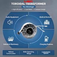 Transformateur toroïdal monophasé 2000VA 220V 110V vers 24V 50Hz en cuivre, OEM personnalisé, CE RoHS, faible MOQ