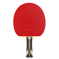 Raquette de tennis de table haut de gamme en fibre de carbone avec coffret cadeau de luxe, 2 balles de tennis de table trois étoiles incluses