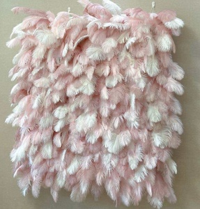 O-W016 gros plume mur toile <span class=keywords><strong>de</strong></span> fond 8ft x 8ft mariage blanc rose noir autruche plume mur pour mariage événements décor - Product Image 2