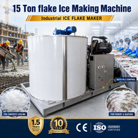 Machine à glaçons en flocons de qualité industrielle, 15 tonnes, en acier inoxydable SUS304, avec pompe à eau PLC |   Économie d'énergie, haute productivité, exportation de produits de la pêche