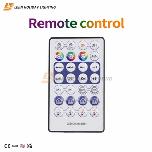 할로윈 장식용 공장 맞춤형 스마트 라이트 스트링 조명 야외 방수 - Product Image 6