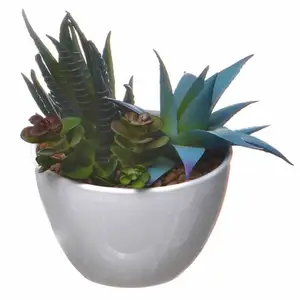 Yapay yeşil bitkiler etli kaktüs simüle Aloe vera salma ev masaüstü dekorasyon çevre dostu seramik saksı Bonsai