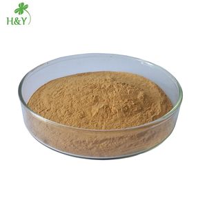 Toptan fiyat saf doğal <span class=keywords><strong>Aloe</strong></span> <span class=keywords><strong>Vera</strong></span> tozu yüksek kaliteli <span class=keywords><strong>Aloe</strong></span> <span class=keywords><strong>Vera</strong></span> özü - Product Image 3