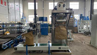 Emballage d'aliments pour animaux sac paquet 20kg 25kg 50kg granule de grain haricots verts riz remplissage Machine d'emballage