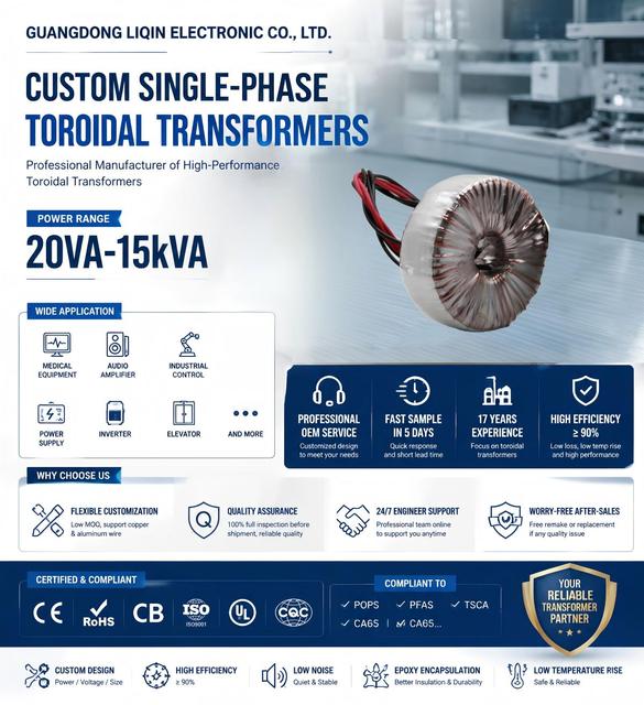 Customized Audio Amplifier Toroidal Isolation Transformer Single Phase 50W-5000W 220V to 12V OEM CE RoHS Low MOQ