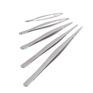 Fórceps de tejido de 25-300mm más vendidos, pinzas de cabeza redonda de acero inoxidable 304 refinadas, herramientas médicas - Product Image 3