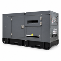 Générateur diesel silencieux Ricardo 20 kW 30 kW triphasé 50 Hz/60 Hz avec ATS, coffret insonorisé, ensemble de production d'énergie à commande intelligente