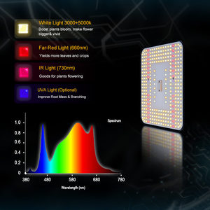 100W Samsung 281B LED Grow Light Espectro completo Planta de <span class=keywords><strong>cultivo</strong></span> de plantas de <span class=keywords><strong>interior</strong></span> LED Grow Light - Product Image 3