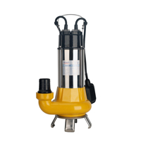 Pompe de vidange pour caves Puddle Ground Drainage Heavy Duty Electric Certified CE