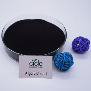 אורגני מוצר אצת אצות ארוחת שמקורה laminaria אבקת תמצית אצות דשן - Product Image 3