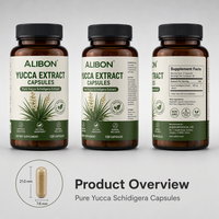 Capsules de Yucca Naturelles de Qualité Alimentaire au Meilleur Prix OEM – Extrait de Yucca en Capsules