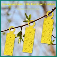 Piège collant personnalisé jaune double face de type crochet pour mouches des fruits, plaque anti-parasites solide 24x7cm