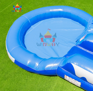 Commercial Grade Dolphin Themed Inflatable Water Slide with Pool <b>for</b> <b>Kids</b> Outdoor Summer Party Events - Product Image 3