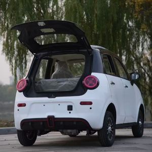 Mini Auto Eléctrico de Cuatro Ruedas, 2 Puertas, 4 Asientos, Motor de 3500W, Autonomía de 130-300km, FSL L100 - Product Image 5