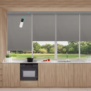 Advanced Design Window Blinds Cordless Roller Blinds Motorized Window Motor Remote Roller Blind Shades Double Drive