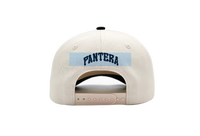 Gorra de Béisbol Personalizada de Algodón Puro, Gorra de Camionero para Hombre, Informal para Exteriores, Multicolor, Bordada con Logotipo Impreso
