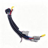 Harness Kabel Otomotif Tugas Berat Khusus dengan Konektor Deutsch, Perlindungan Split Loom, Perakitan Kabel dengan Multi-Konektor