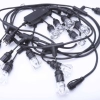 LS-O-001 De Qualité Commerciale S14 48ft 2W LED Extérieur Imperméable de Décoration de Chaîne de Patio