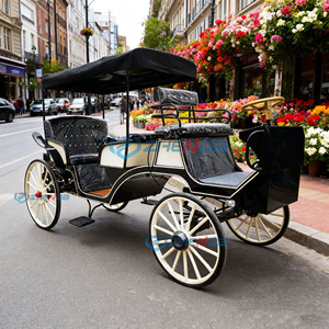 Nouvelle calèche de luxe européenne pour le tourisme, les événements, les mariages en parc, calèches à chevaux électriques - Product Image 3