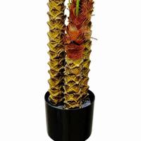 Palmier artificiel multi-troncs, plante décorative d'intérieur, Livistona Chinensis artificielle pour la décoration de la maison, du centre commercial, de l'hôtel et du paysage