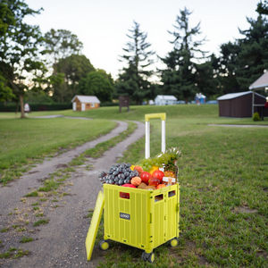Chariot pliable portatif à la mode superbe chariot à main de ménage de roulette de <span class=keywords><strong>Spinner</strong></span> pour l'étal de supermarché en ligne - Product Image 2