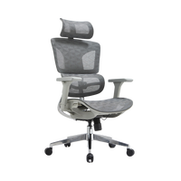 Chaise de bureau ergonomique pivotante en maille respirante pour la maison et le bureau – Offre spéciale