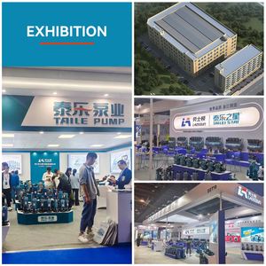 Pompe submersible QDX 0,75 kW compacte et résistante à la corrosion pour l'irrigation des jardins, l'aération des réservoirs, l'alimentation en eau et le drainage - Product Image 4