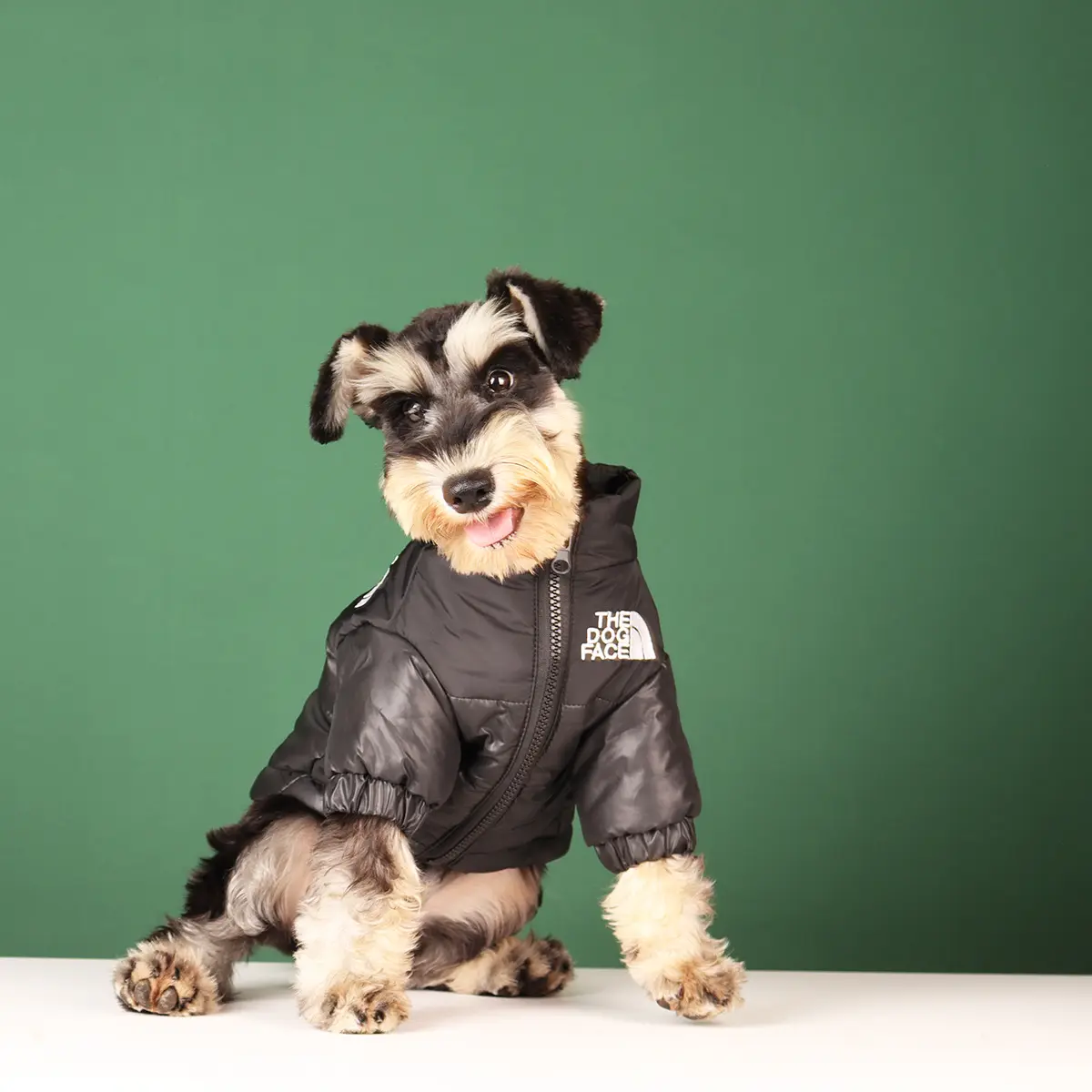 Vestiti Per Cani Firmati Custom Owner And Pet Clothes Fashion Dog Winter Clothes