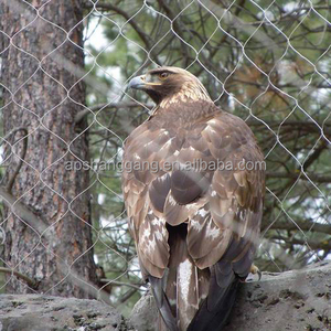 Rete Metallica Esagonale in Acciaio Zincato Rivestito in PVC, Recinzione per Fattoria, Gabbie per Polli, Gabbie per Pollame, Trappole per Pesci - Product Image 3