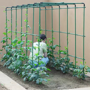Soporte de jardín de metal verde <span class=keywords><strong>redondo</strong></span> moderno con tubo de acero revestido, planta de flor duradera, vid, rosa, pepino, pérgola trepadora, <span class=keywords><strong>Poste</strong></span> de soporte - Product Image 5