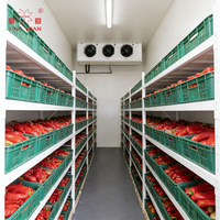 Unité de compresseur frigorifique pour chambre froide, chambre de congélation pour viande congelée, poulet, poisson, chambre de stockage frigorifique