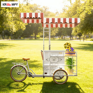 Chariot à main électrique à 2 roues en fibre de verre personnalisé, chariot de livraison de nourriture de rue, chariot de crème glacée avec congélateur d'affichage à vendre - Product Image 6