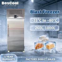 Congélateur à plaque à dégivrage automatique personnalisable BesCool (-35°C) ℃   à -80 ℃ Pour les usines et les usages industriels de transformation des aliments surgelés