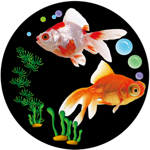 Dịch vụ thiết kế chuyên nghiệp Kính gobo cho phép chuyển màu xám mượt mà hơn - Product Image 3