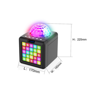 Venta al por mayor de calidad intermitente LED Party Karaoke altavoz inalámbrico con micrófono con cable - Product Image 2