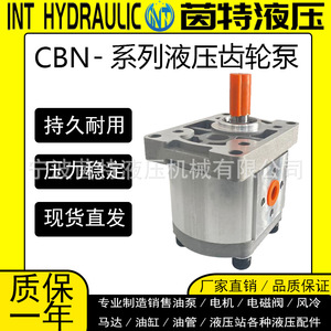 Pompe hydraulique à engrenages Ningbo Int CBN-F310 350 bars, 1 étage, corps en alliage d'aluminium, engrenages en fonte, 2 CV, pompe hydraulique rotative - Product Image 5