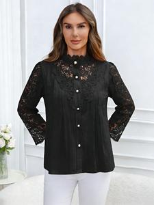 Blusa Elegante de Manga Larga con Encaje, Talla Grande, Estilo Moderno para Primavera/Verano 2026, Disponible en Almacén de EE. UU. - Product Image 1