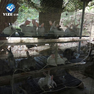 China commerciële konijn boerderij kooi, konijn kooien gebruikt te koop, konijnenhok in kenia boerderij( hoge kwaliteit) - Product Image 4