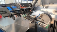 Machine automatique de cartonnage de nourriture et de pâte dentifrice pour l'emballage de papier et de feuille de plastique de film sur la chaîne de production