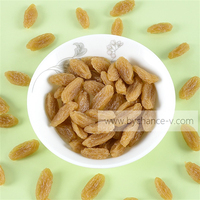 Raisin artificiel en plastique, imperméable et durable, accessoire de présentation pour la photographie culinaire, la décoration de la maison et de la cuisine, et les fournitures pédagogiques scolaires