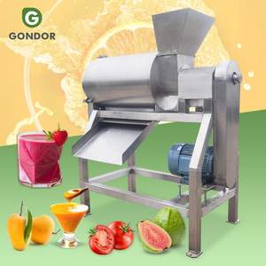 Máquina Pulpeadora Automática de un Solo Canal para Hacer Pulpa y Mermelada de Mango, Manzana, Albaricoque, Fresa, Aguacate y Tomate - Product Image 1